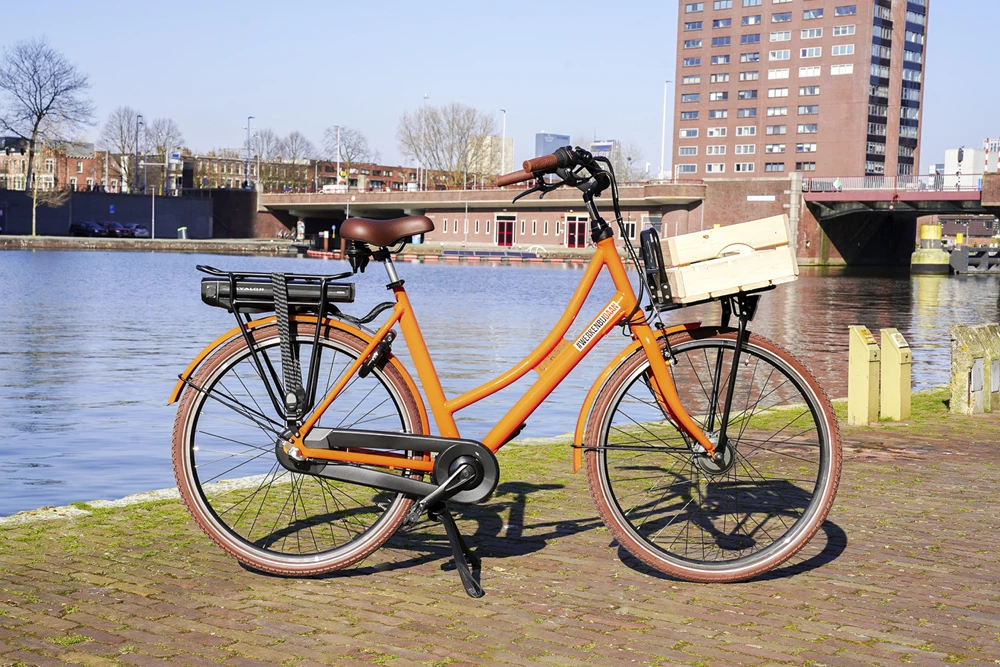 *Daan* E-bike